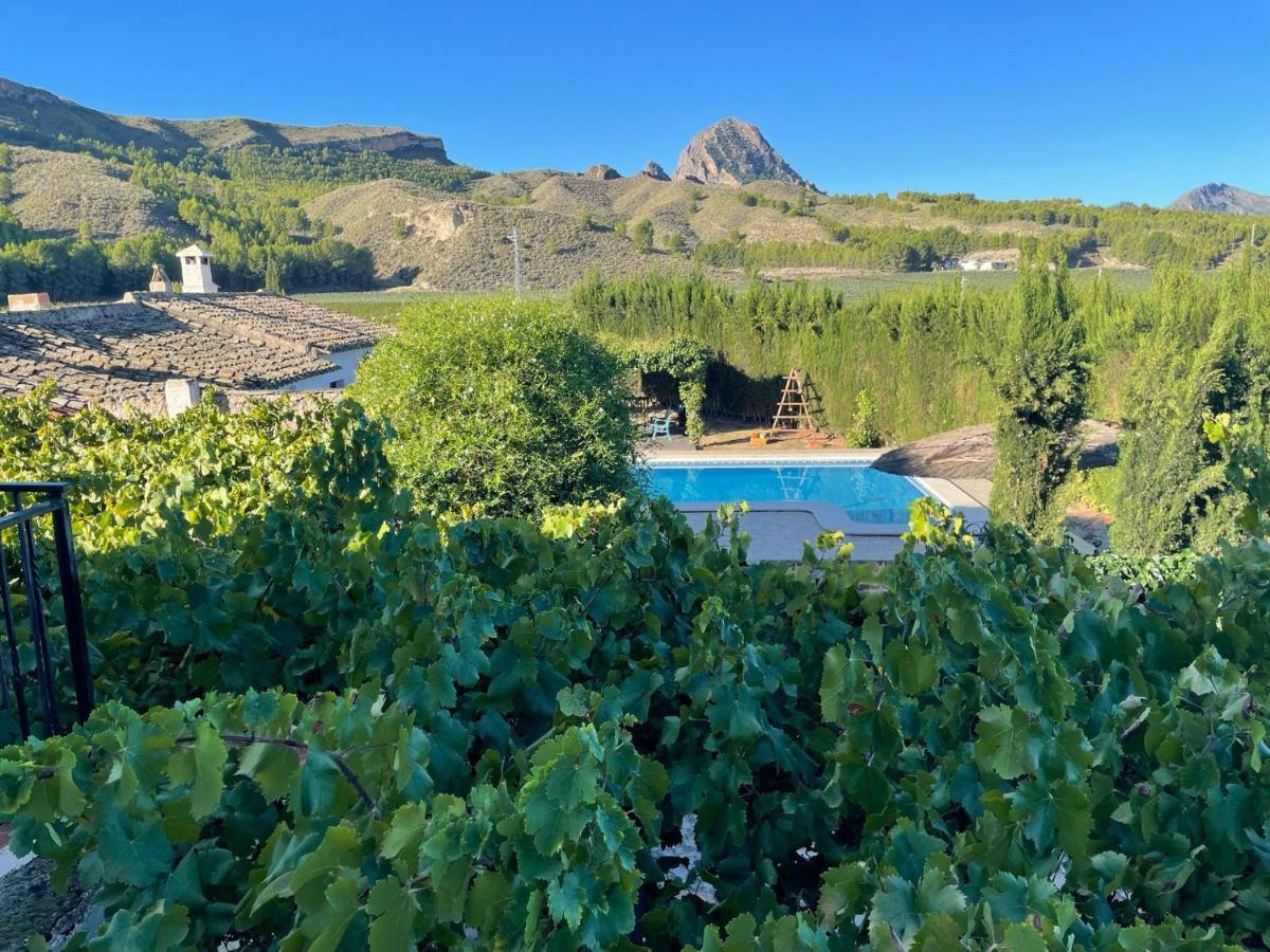 Vila Casas Rurales El Cabezo De La Torre Cieza Exteriér fotografie